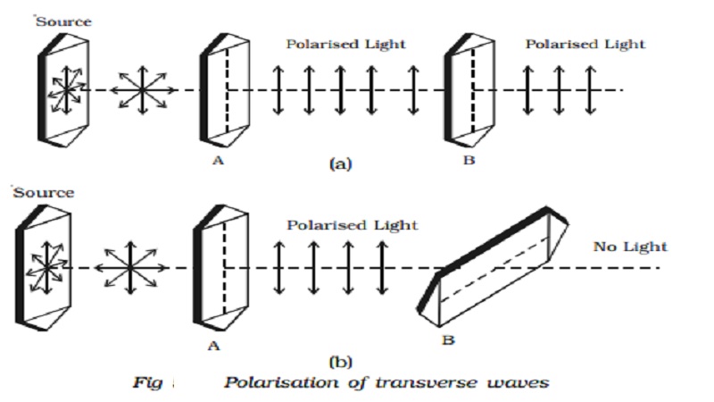 Polarisation of transverse waves