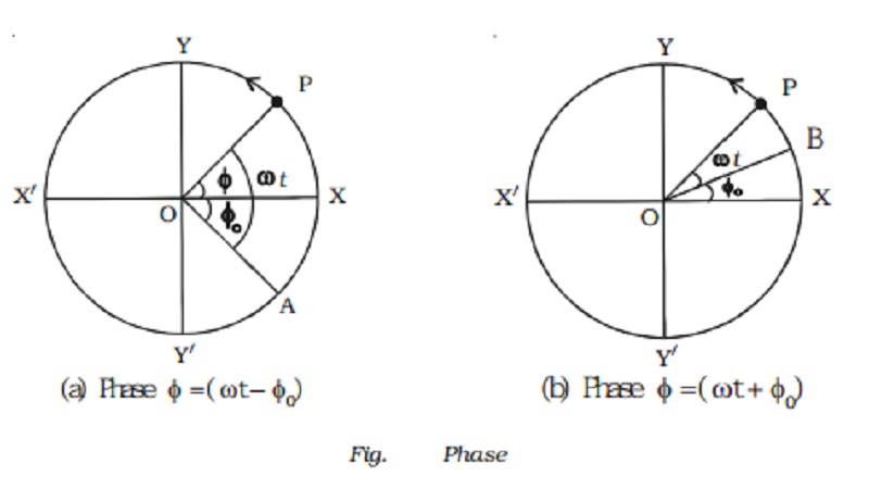 Important terms in simple harmonic motion