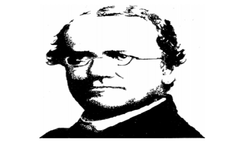 Biography of Mendel And Mendel's Experiments on Mendel's Laws of Inheritance