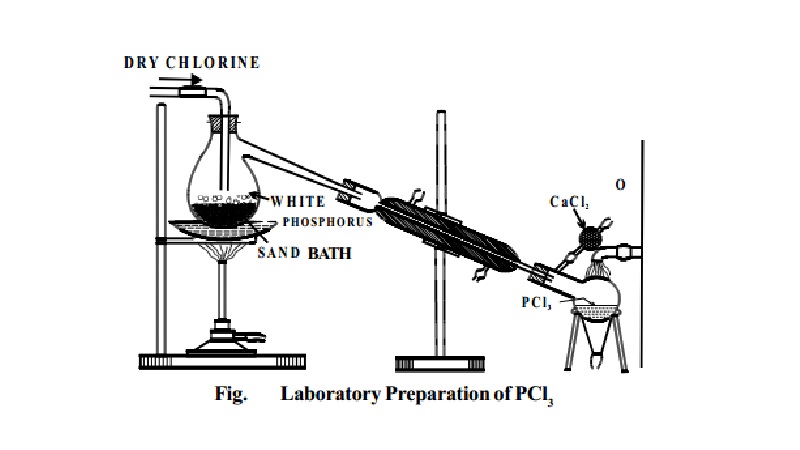 Halides of Phosphorus: Phosphorus TrichlorideII. Phosphorus pentachloride - Preparation, properties, Structure