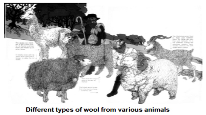 Wool - Animal Fiber : History, Processing, Classification for wool and by Fleece, Manufacturing, Properties