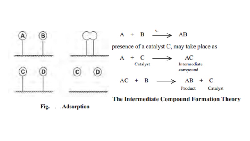 Theories Of Catalysis