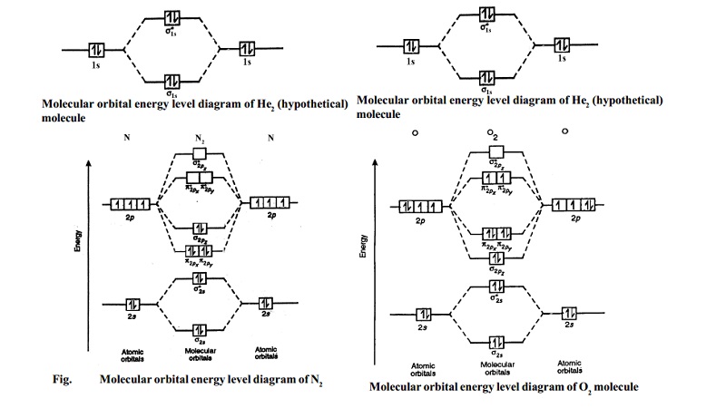Molecular orbital energy level diagrams -Hydrogen, Hypothetical, Nitrogen, Oxygen