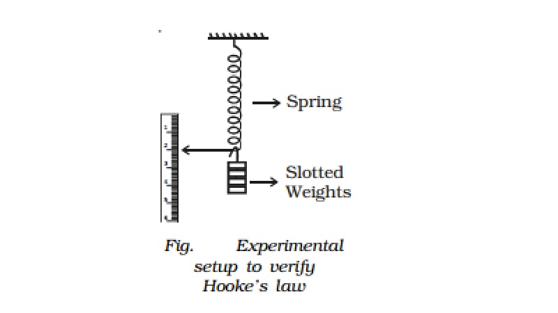 Experimental verification of Hooke's law