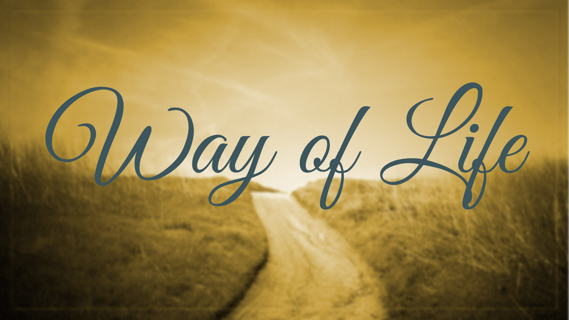 Way of Life : Knowledge and Understanding