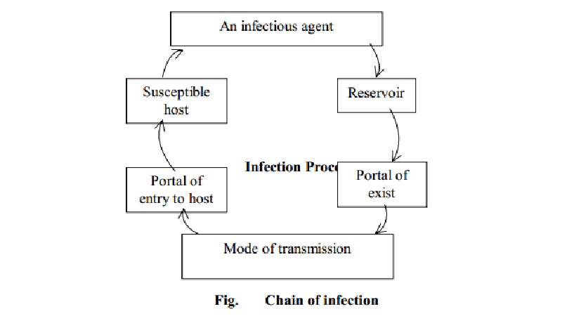 Methods of Disinfections and Sterilisation