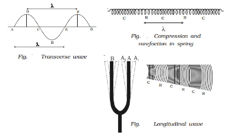 Mechanical wave motion - Transverse and Longitudinal wave motion