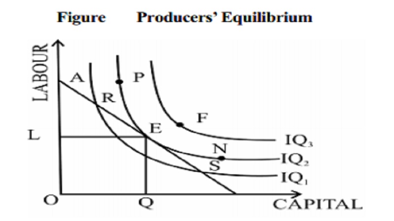 Producer's Equilibrium and The Cobb Douglas Production Function
