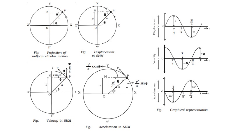 The projection of uniform circular motion on a diameter is SHM