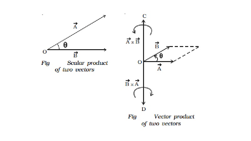Multiplication of two vectors