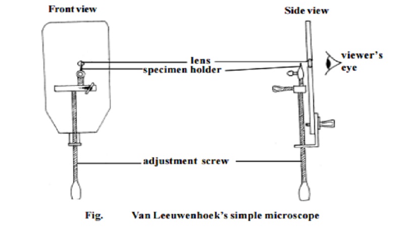 Microscopy and Anton van Leeuwenhoek simple microscope
