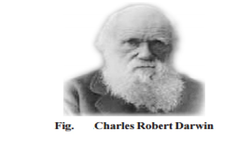 THEORIES OF EVOLUTION : Darwinism