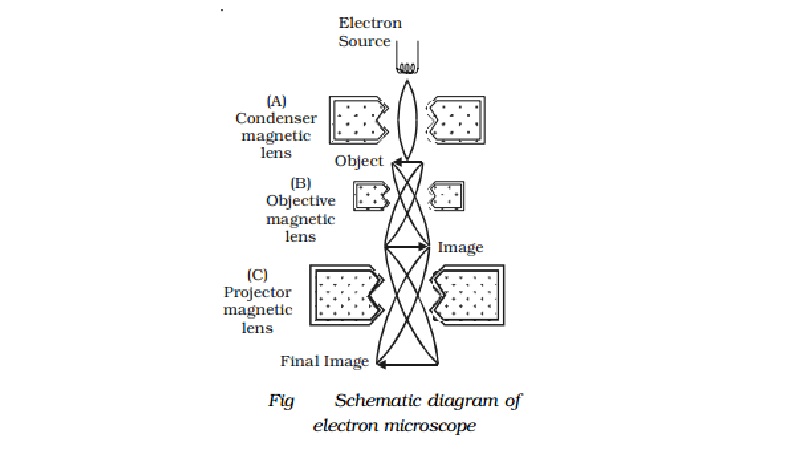Electron microscope: Construction, working, Uses, Limitations