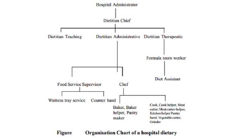 Hospital Dietaries In Patient Care