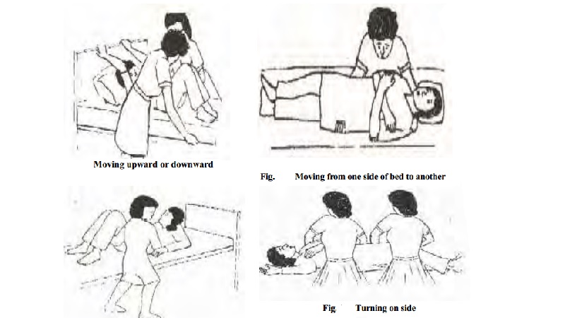 Purposes and Procedures of Moving and lifting patient in Hospital