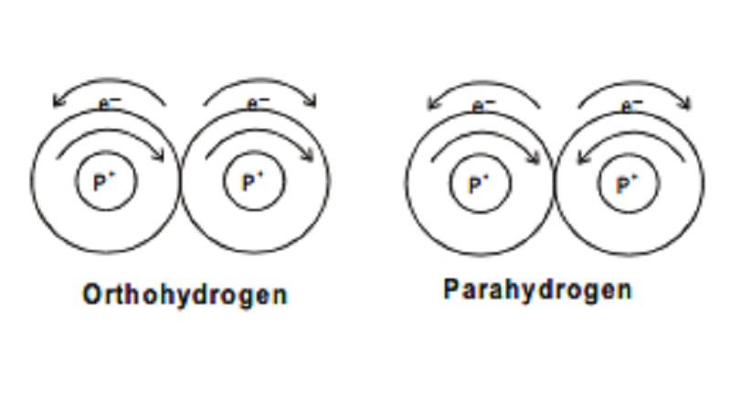 Ortho and Para hydrogen: Conversion and Properties