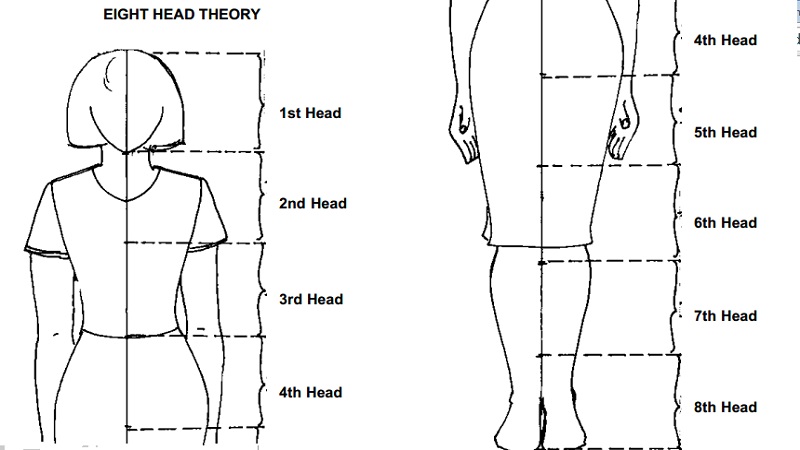 Eight Head Theory - Taking Body Measurement