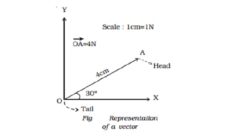 Representation of a vector quantities