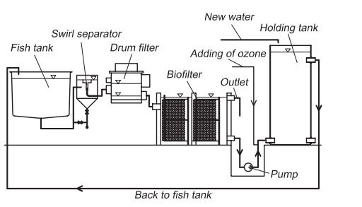 Aquaculture Pump System Diagram Ras System Pisciculture Other Aquaculture Pump System Diagram Ras System Pisciculture Other