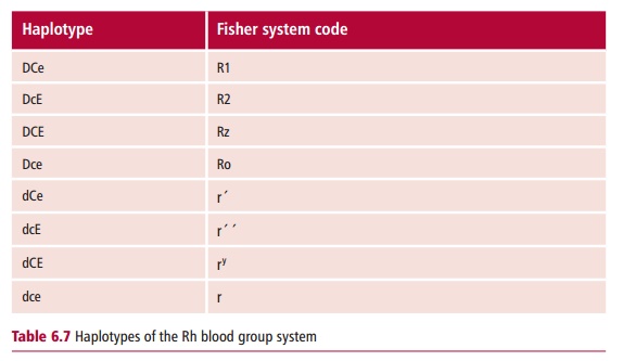 The Rh Blood Group System ISBT 004 The Rh Blood Group System ISBT 004