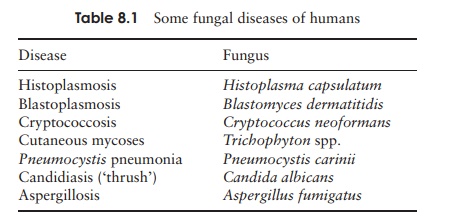 human fungal infections