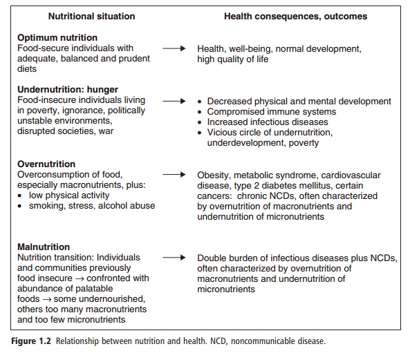 Relationship Between Nutrition And Health