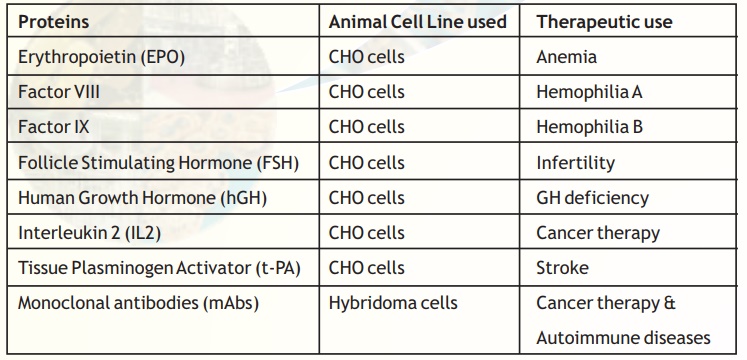 Applications of Animal Cell culture