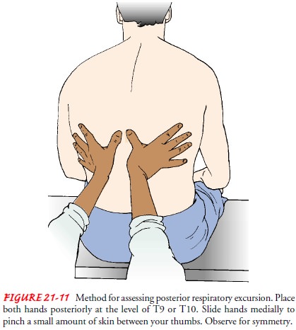 diaphragmatic excursion and chest expansion