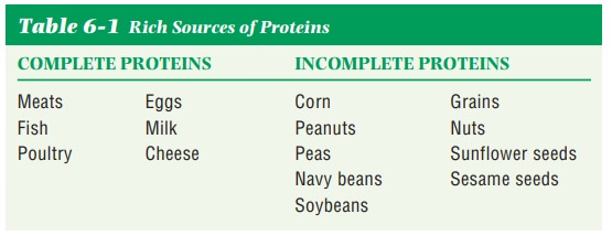 Food Sources of Proteins