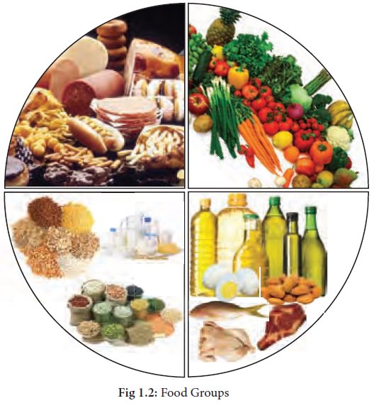 A Balanced Diet - Covering the Five Groups - Roseman Medical Group