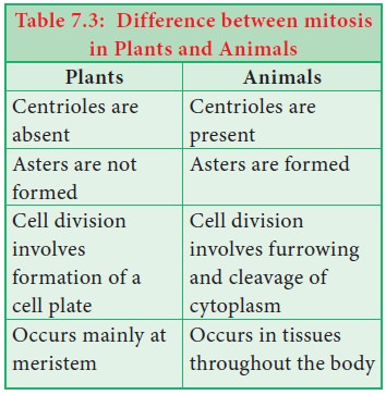 Difference Between Mitosis and Meiosis in Plants and Animals