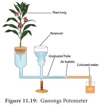 how to measure transpiration rate
