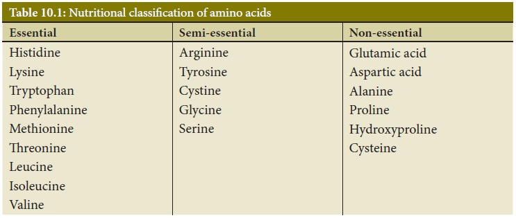 classification of amino acids based on structure