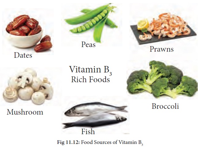 Vitamin B3 Foods Cheap Factory | www ...