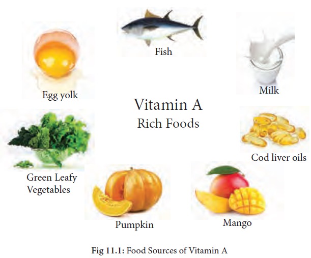 Vitamin A : Food Sources, Symptoms of deficiency