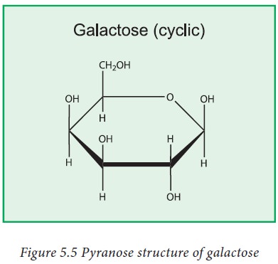 chemical structure of galactose