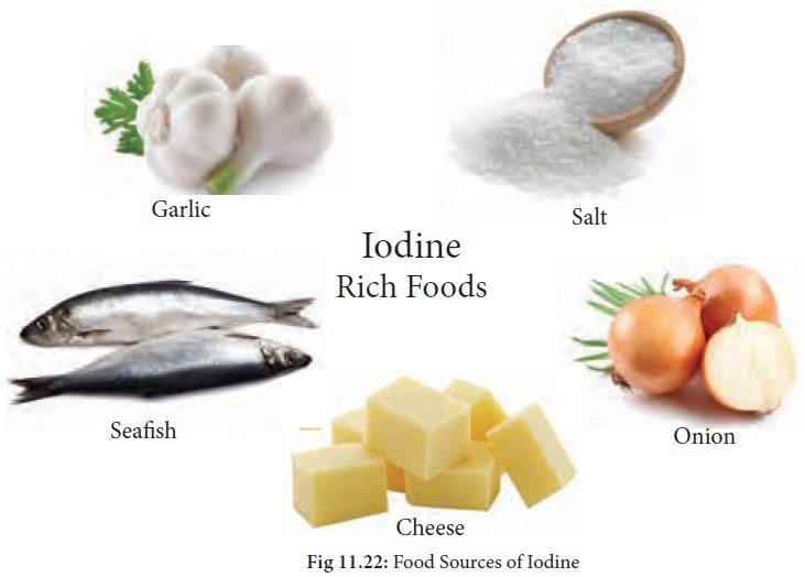 Iodine : Functions, Food Sources, Symptoms of deficiency