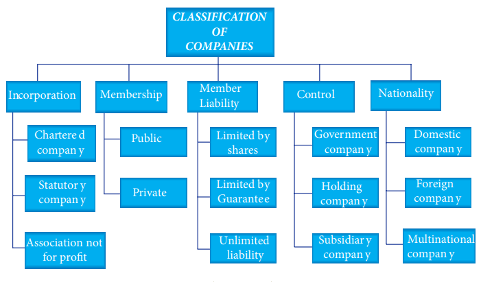 Types of Companies - Classification/Division
