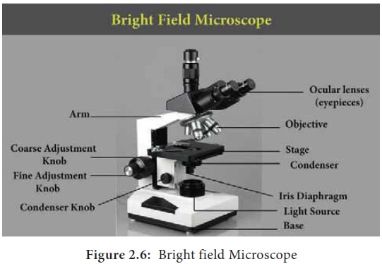 bright field microscope parts