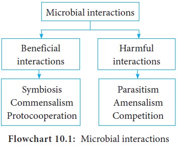 Microbial Interactions - Soil Microbiology