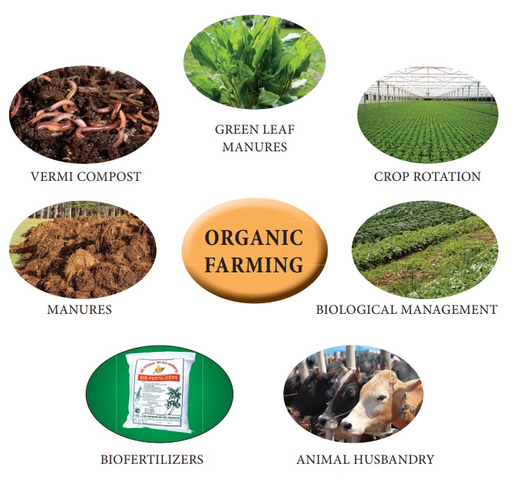 Organic Farming - Environmental Economics