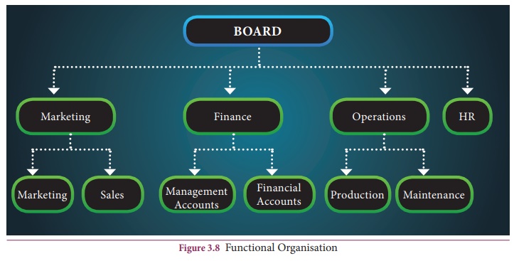 Functional Organisation: Meaning, Features, Suitability