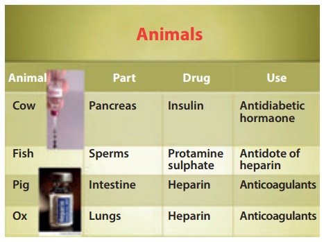 Sources of Drugs - Administration of Medicine in Nursing