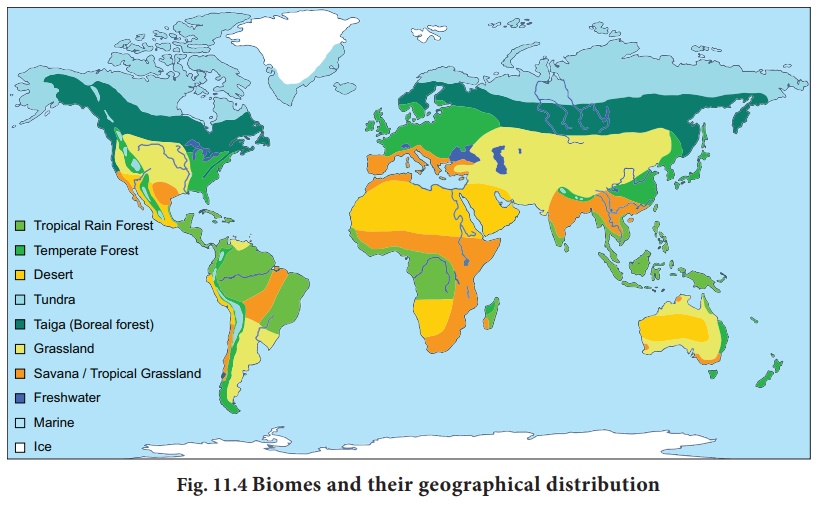 Concept of biome and their distribution