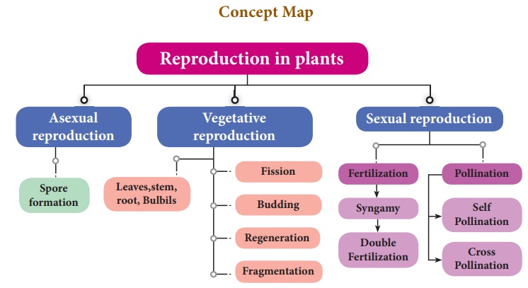 Reproduction in Plants and Animals - Introduction
