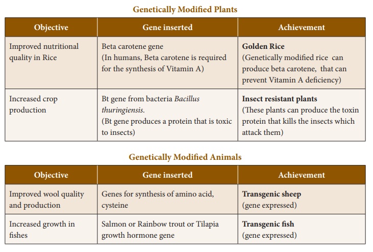 Genetically Modified Organisms (GMOs)