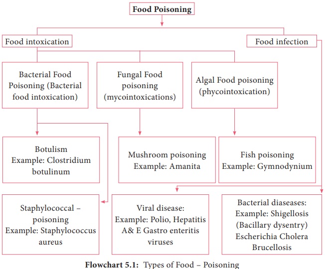 food borne disease research paper