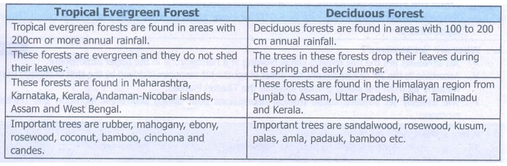 distinguish between tropical evergreen and deciduous forests