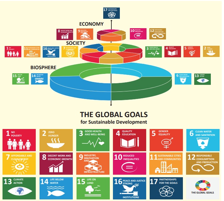 sustainable development goals phd thesis