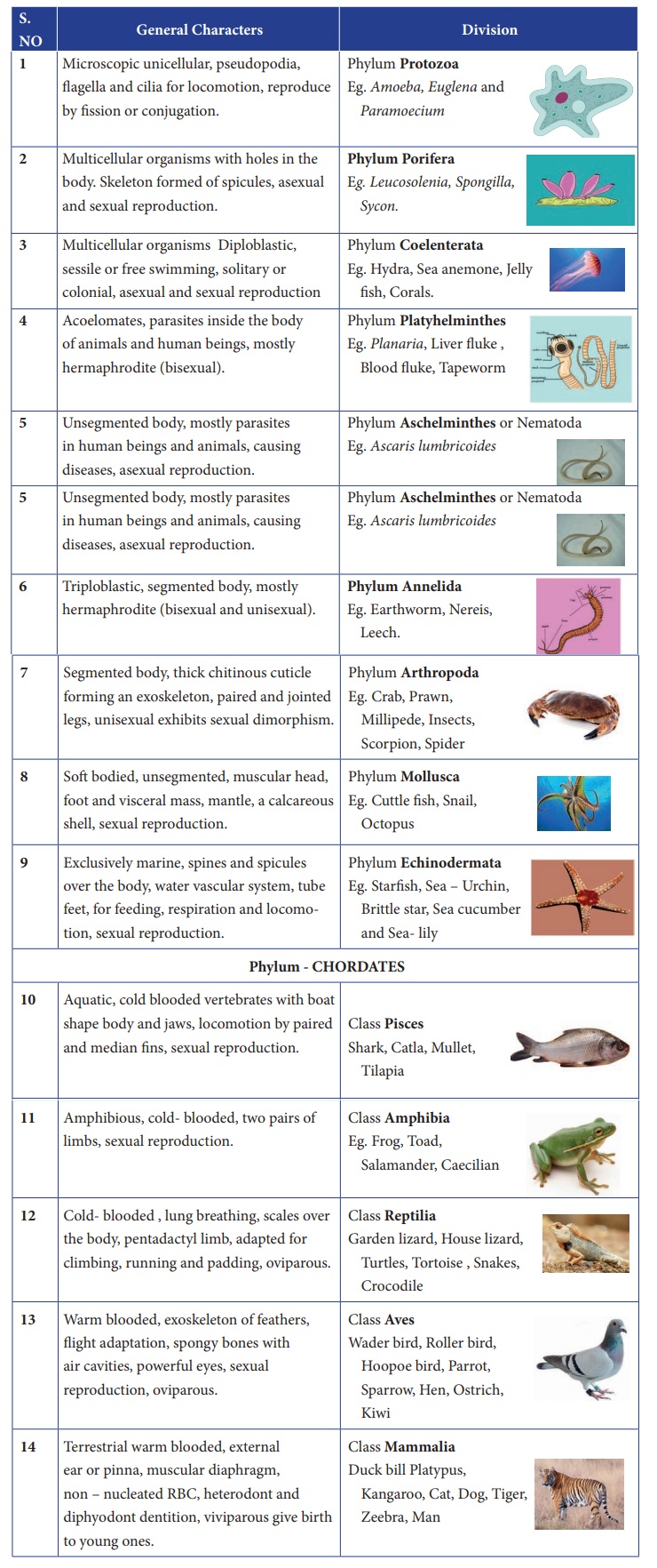 Classification of Animal - Term 2 Unit 5 | 7th Science
